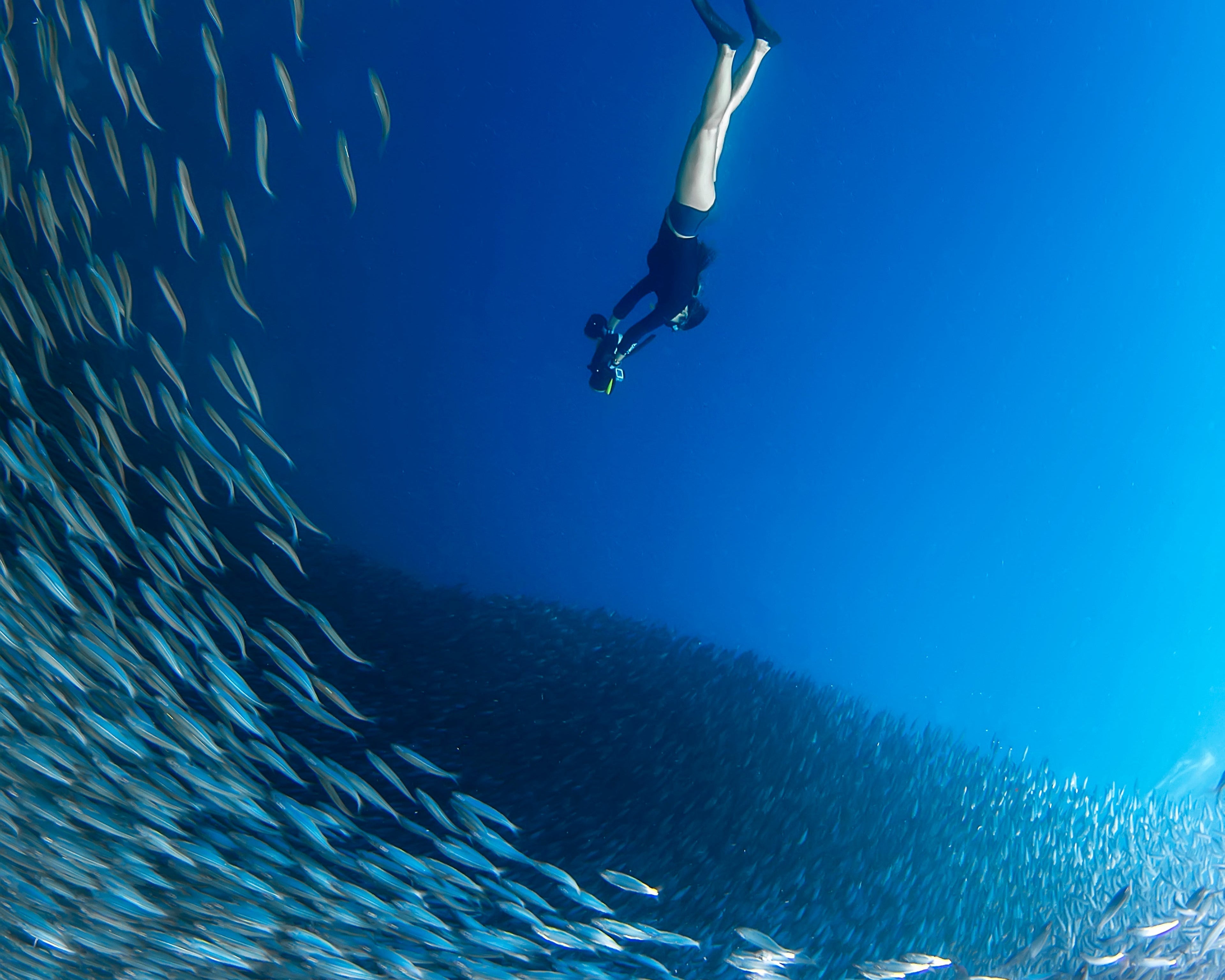 Sublue Navbow – Professional-Grade Underwater Scooter