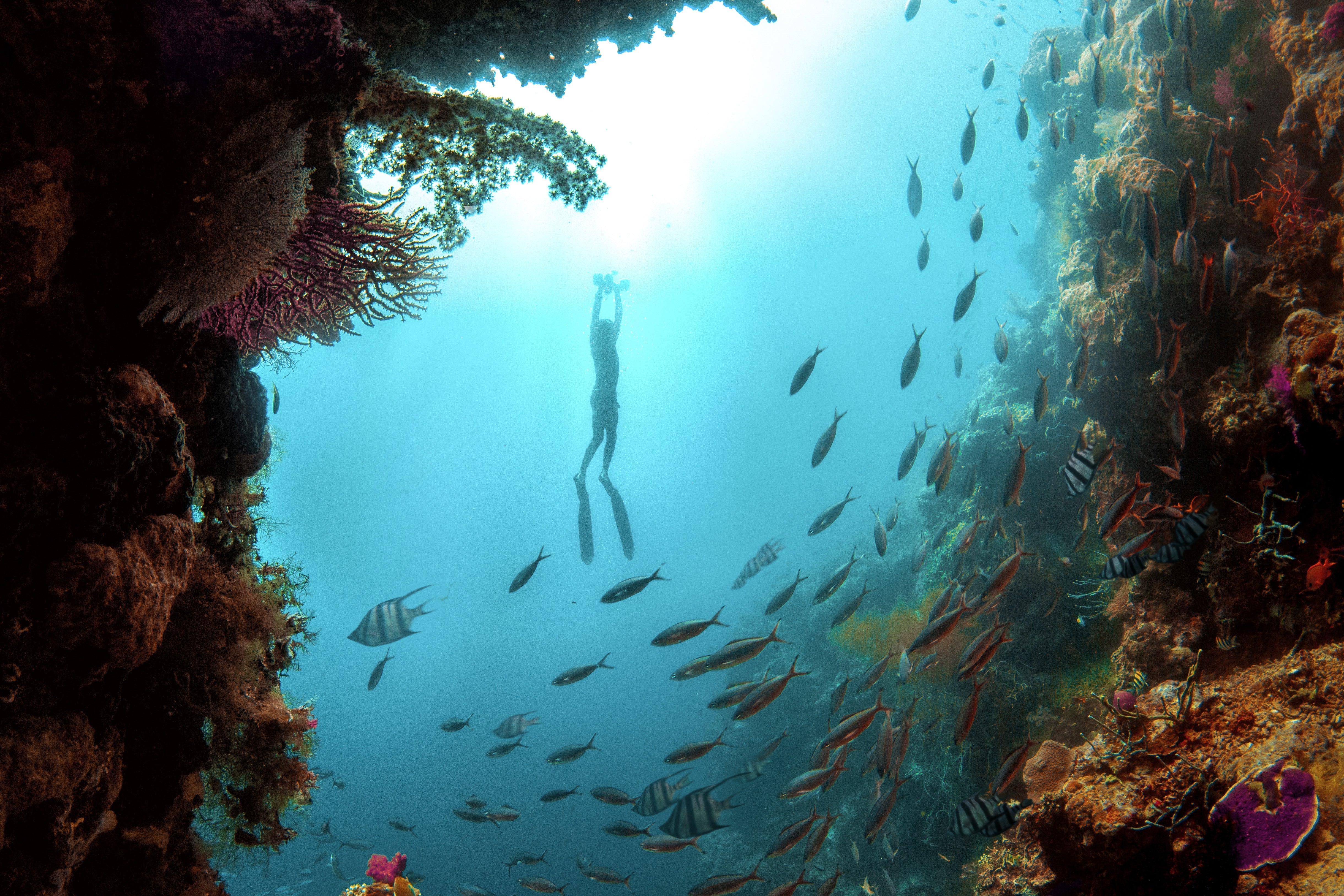 MixPro – Dual-Motor Underwater Scooter